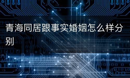 青海同居跟事实婚姻怎么样分别