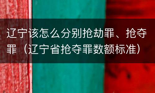 辽宁该怎么分别抢劫罪、抢夺罪（辽宁省抢夺罪数额标准）