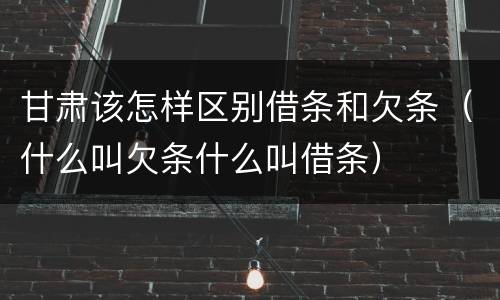 甘肃该怎样区别借条和欠条（什么叫欠条什么叫借条）