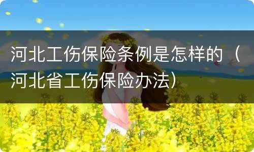 河北工伤保险条例是怎样的（河北省工伤保险办法）