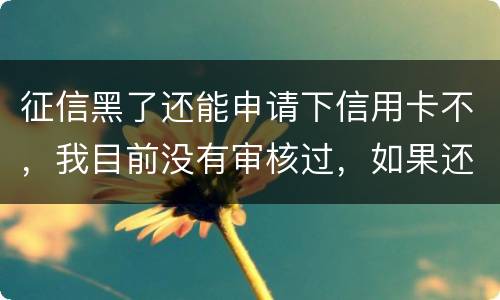 征信黑了还能申请下信用卡不，我目前没有审核过，如果还完欠款过几年能申下信用卡吗