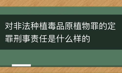 对非法种植毒品原植物罪的定罪刑事责任是什么样的