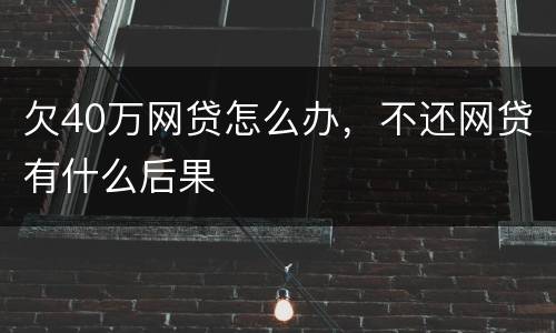 欠40万网贷怎么办，不还网贷有什么后果