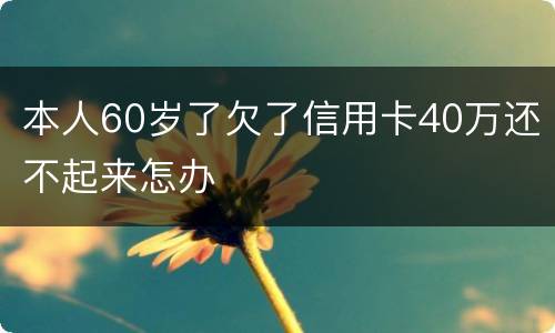 本人60岁了欠了信用卡40万还不起来怎办