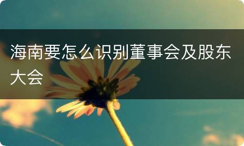 海南要怎么识别董事会及股东大会