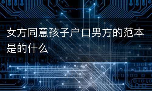 女方同意孩子户口男方的范本是的什么