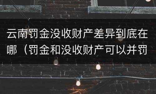 云南罚金没收财产差异到底在哪（罚金和没收财产可以并罚吗）