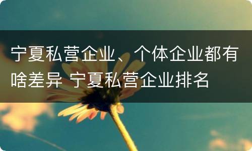 宁夏私营企业、个体企业都有啥差异 宁夏私营企业排名