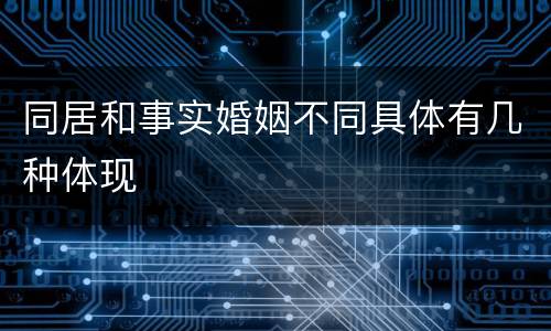 同居和事实婚姻不同具体有几种体现