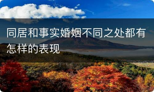 同居和事实婚姻不同之处都有怎样的表现