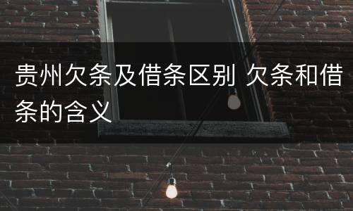 贵州欠条及借条区别 欠条和借条的含义