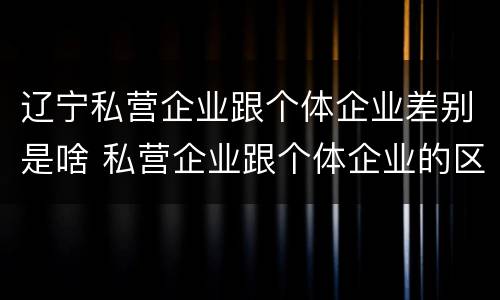 辽宁私营企业跟个体企业差别是啥 私营企业跟个体企业的区别