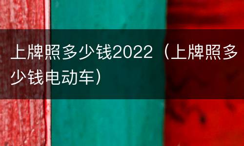 上牌照多少钱2022（上牌照多少钱电动车）