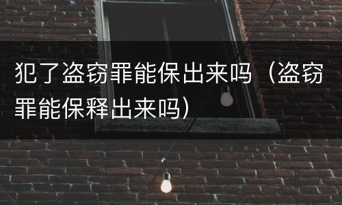 犯了盗窃罪能保出来吗（盗窃罪能保释出来吗）