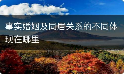 事实婚姻及同居关系的不同体现在哪里