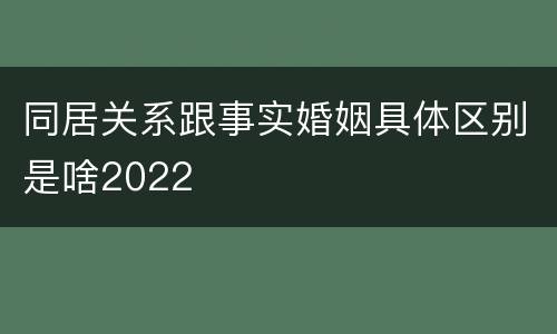 同居关系跟事实婚姻具体区别是啥2022