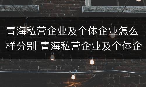 青海私营企业及个体企业怎么样分别 青海私营企业及个体企业怎么样分别交社保