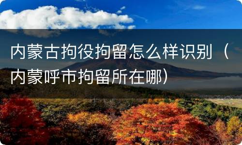 内蒙古拘役拘留怎么样识别（内蒙呼市拘留所在哪）