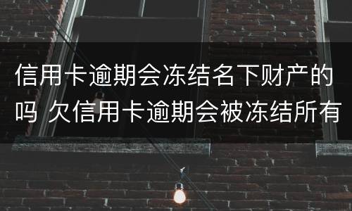 信用卡逾期会冻结名下财产的吗 欠信用卡逾期会被冻结所有资产吗