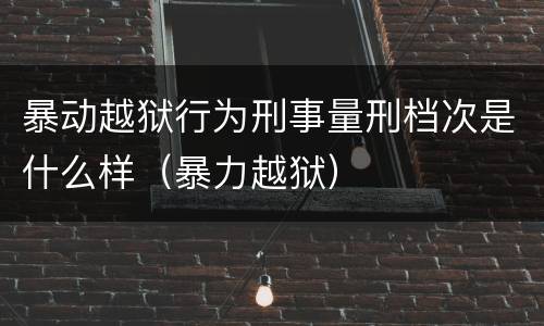 暴动越狱行为刑事量刑档次是什么样（暴力越狱）