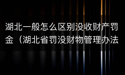 湖北一般怎么区别没收财产罚金（湖北省罚没财物管理办法）