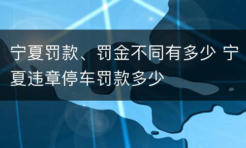 宁夏罚款、罚金不同有多少 宁夏违章停车罚款多少
