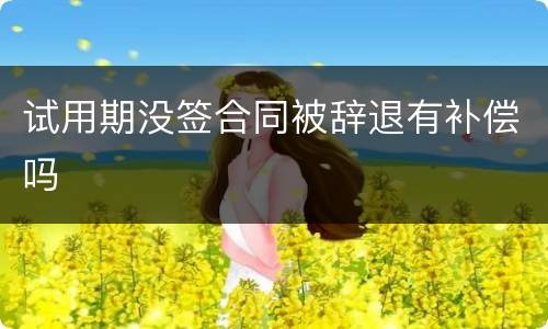 试用期没签合同被辞退有补偿吗