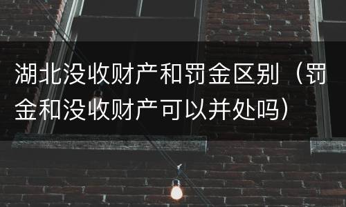 湖北没收财产和罚金区别（罚金和没收财产可以并处吗）