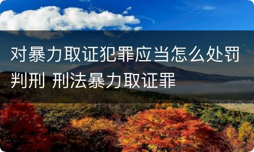 对暴力取证犯罪应当怎么处罚判刑 刑法暴力取证罪