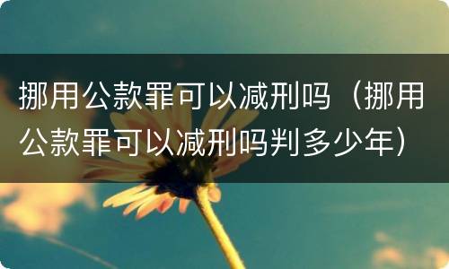 挪用公款罪可以减刑吗（挪用公款罪可以减刑吗判多少年）
