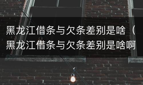 黑龙江借条与欠条差别是啥（黑龙江借条与欠条差别是啥啊）