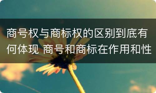 商号权与商标权的区别到底有何体现 商号和商标在作用和性质上的区别