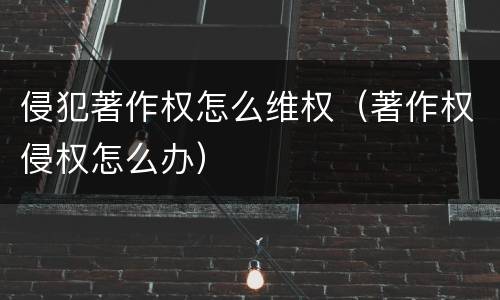 侵犯著作权怎么维权（著作权侵权怎么办）