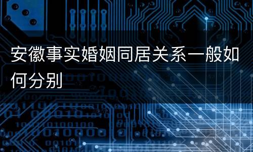 安徽事实婚姻同居关系一般如何分别