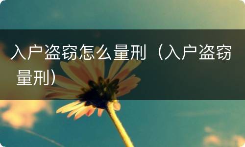 入户盗窃怎么量刑（入户盗窃 量刑）