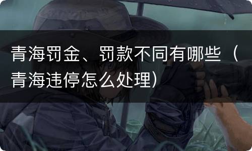 青海罚金、罚款不同有哪些（青海违停怎么处理）