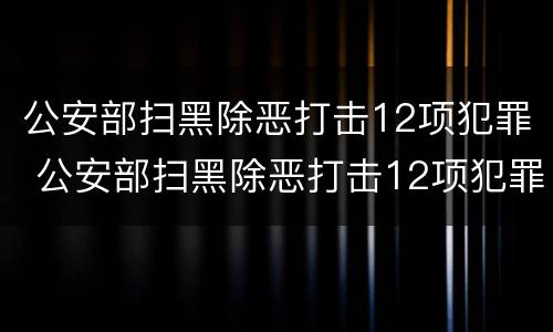 公安部扫黑除恶打击12项犯罪 公安部扫黑除恶打击12项犯罪活动