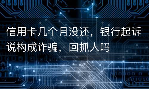 信用卡几个月没还，银行起诉说构成诈骗，回抓人吗