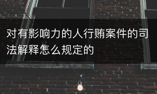 对有影响力的人行贿案件的司法解释怎么规定的