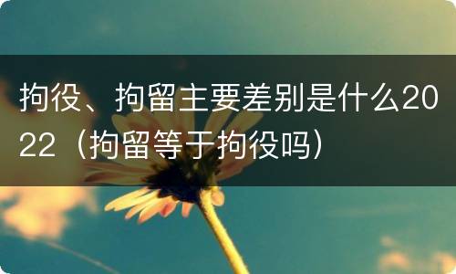 拘役、拘留主要差别是什么2022（拘留等于拘役吗）