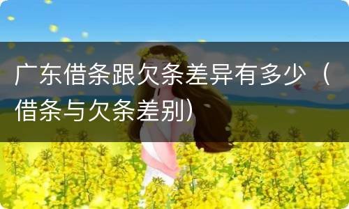 广东借条跟欠条差异有多少（借条与欠条差别）