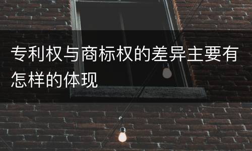 专利权与商标权的差异主要有怎样的体现
