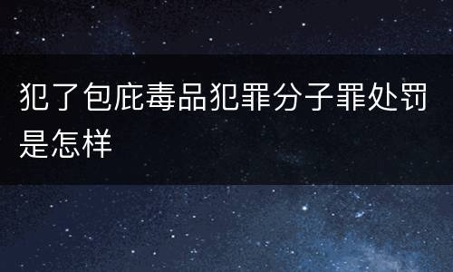 犯了包庇毒品犯罪分子罪处罚是怎样