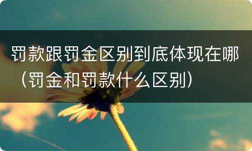 罚款跟罚金区别到底体现在哪（罚金和罚款什么区别）