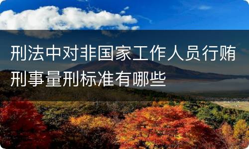刑法中对非国家工作人员行贿刑事量刑标准有哪些