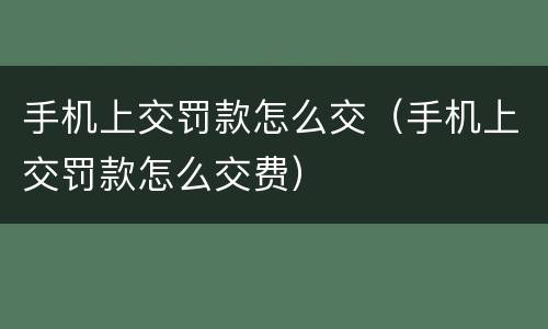 手机上交罚款怎么交（手机上交罚款怎么交费）