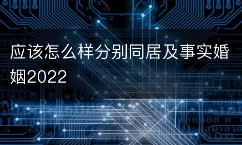 应该怎么样分别同居及事实婚姻2022