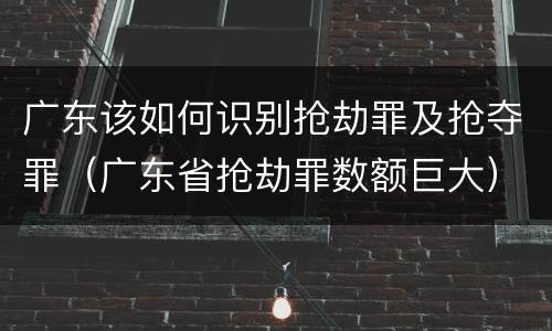 广东该如何识别抢劫罪及抢夺罪（广东省抢劫罪数额巨大）