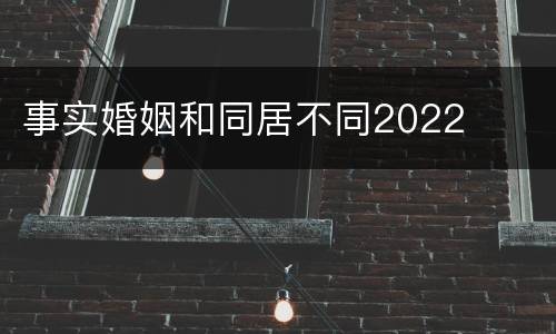 事实婚姻和同居不同2022