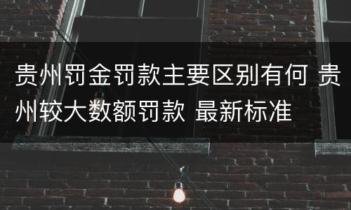 贵州罚金罚款主要区别有何 贵州较大数额罚款 最新标准